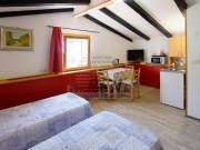 Casa istriana - Buie (04490)