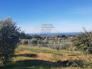 Terreno edificabile  - Buie (04638)
