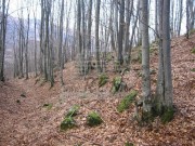 Terreno edificabile - Mrkopalj (00709)
