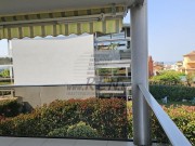 Appartamento  - Cittanova (05702)