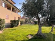 Appartamento - Cittanova (05038)