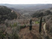 Casa istriana - Buie (05232)