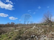 Terreno edificabile  - Umago (05488)