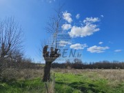 Terreno edificabile - Umago (05488)