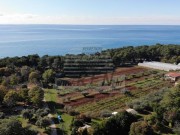 Terreno edificabile - Umago (03837)