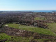 Terreno agricolo - Cittanova (05237)