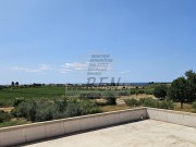 Casa - Cittanova (05737)