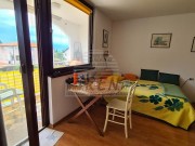Appartamento - Cittanova (04993)
