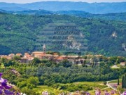 Terreno agricolo  - Buzet (05743)
