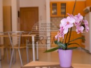 Villa - Umago (03303)