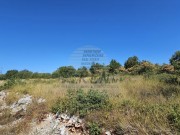 Terreno edificabile  - Buie (05738)